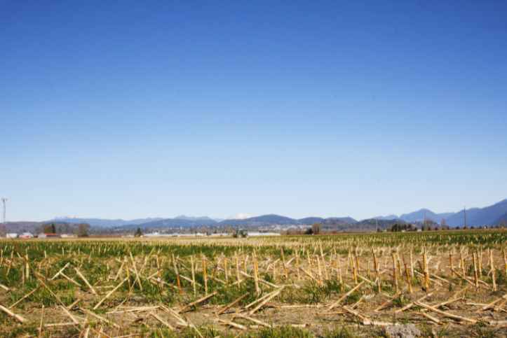 aggriculture-farm-land-sale